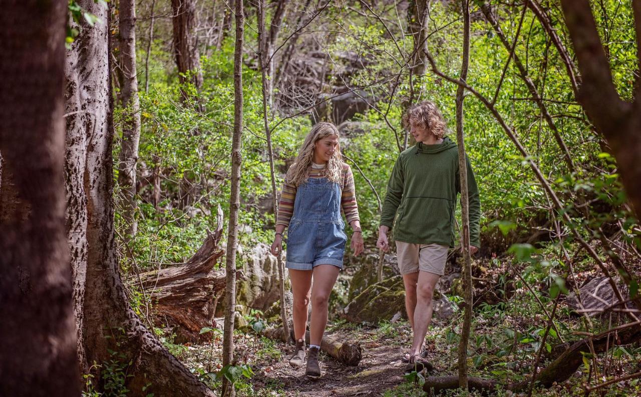 Eden Cabin Forested Tiny Home On Lookout Mtn Chattanooga Eksteriør bilde